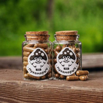 Чага березовая