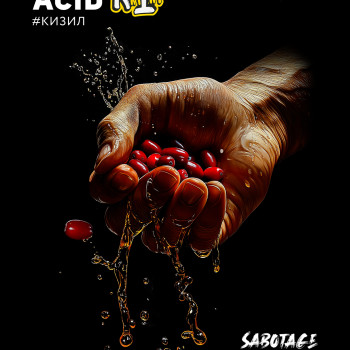 Табак для кальяна "Дарксайд" Саботаж (Эйсид) 30 г